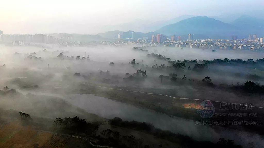 可爱小猫的发廊