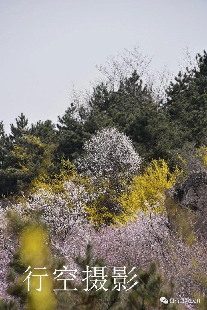 假装服务人员、藏身沙土车后箱 郑州警方打击赌博有绝招