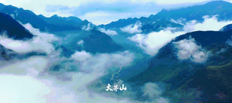 我叫MT4